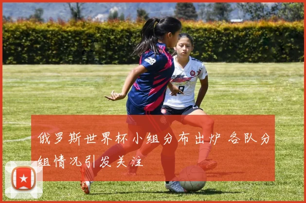 俄罗斯世界杯小组分布出炉 各队分组情况引发关注