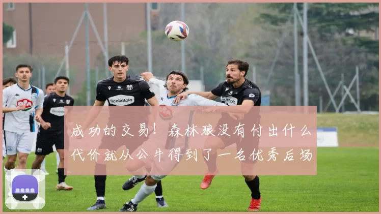 成功的交易！森林狼没有付出什么代价就从公牛得到了一名优秀后场