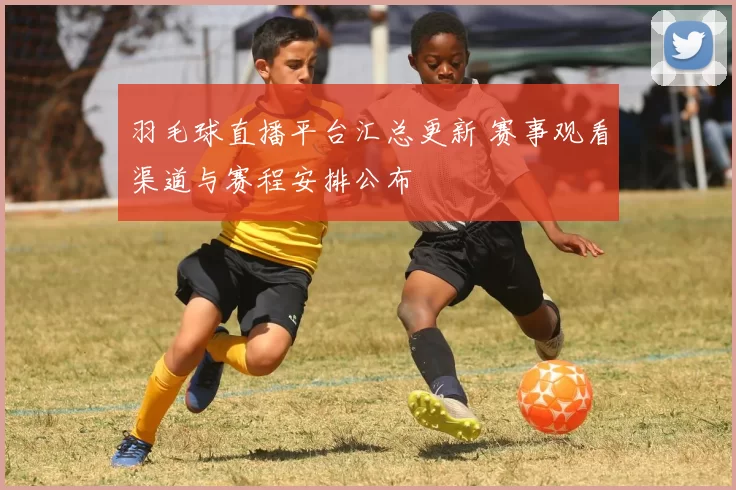 羽毛球直播平台汇总更新 赛事观看渠道与赛程安排公布