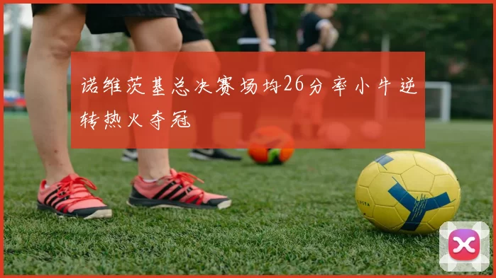 诺维茨基总决赛场均26分率小牛逆转热火夺冠