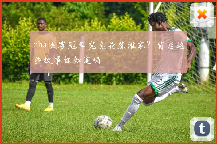 cba决赛冠军究竟花落谁家？背后这些故事你知道吗